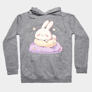 sleeping bunny Hoodie